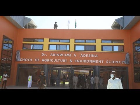 The Gambia varsity renames faculty after ex-AfDB president Adesina