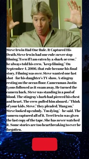 💔 STEVE IRWIN HAD ONE RULE: KEEP THE CAMERA ROLLING