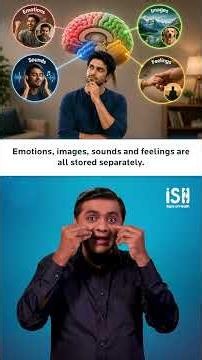 Explore the Human Nervous System | Signs of Health | ISH News