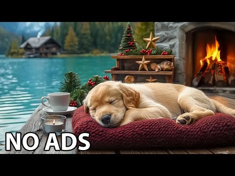 12 Hours Music for Dogs 🌼 Calming Music for Dogs Who Feel Lonely at Home 🐕 Dog Calming Music