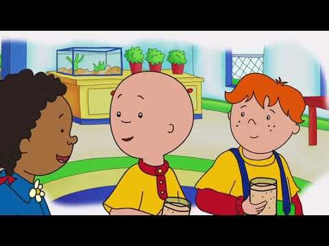 Caillou Rushing The Raspberry