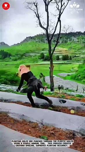 Plastic Mulch Farming: Manual Soil Preparation for Clean and Efficient Crop Beds #smartfarming