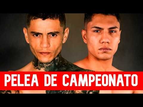 Las MEJORES PELEAS de Mexicanos para este FIN DE SEMANA