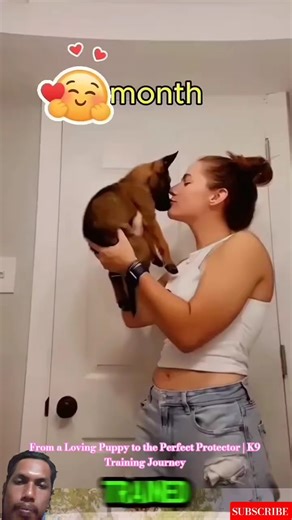 From a Loving Puppy to the Perfect Protector | K9 Training Journey #germanshepherd #malinois #dogs