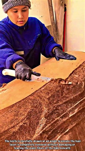 Cowhide Fur Curl: Raw Sheet Processed Into High-End Raw Material