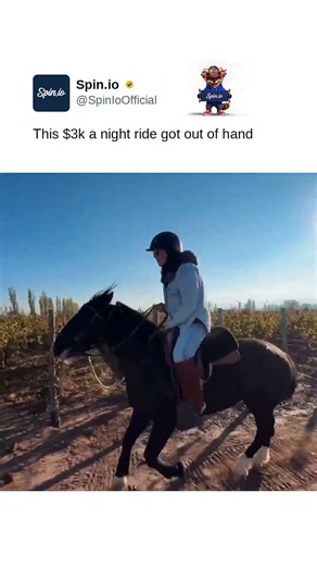 This $3k a night ride got out of hand