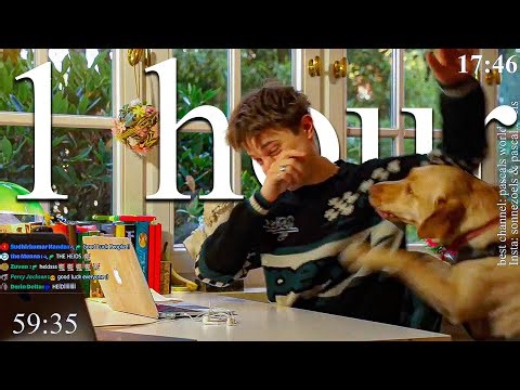 LIVE | 1-HOUR study with me 📚⛈️ rain sounds & pomodoro timer 60 & 10