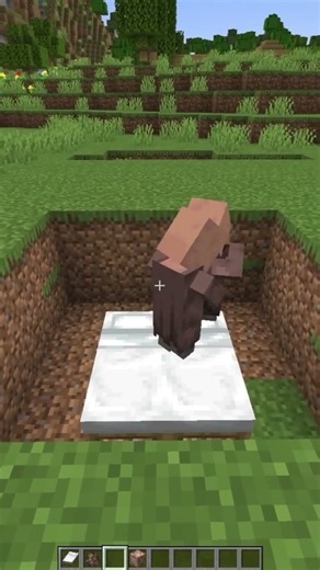 CRAZY VILLAGER...