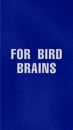 For Bird Brains | JEOPARDY!