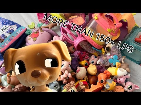 My whole LPS collection!(150+ LPS!!)