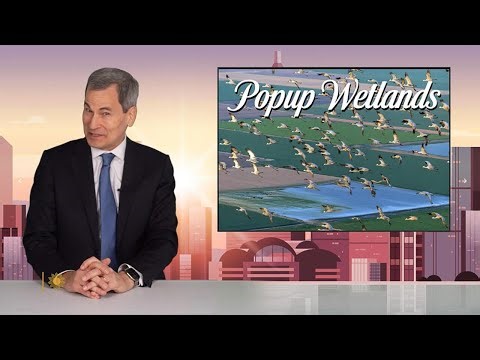 Good news you may have missed in 2025