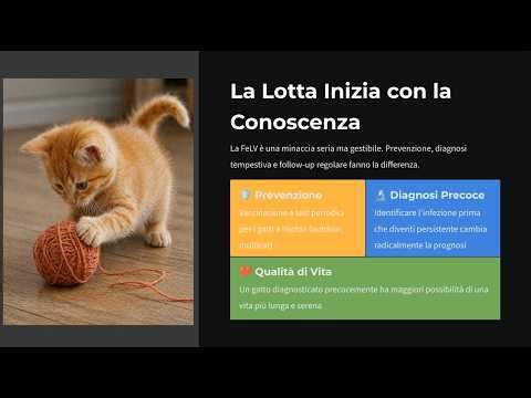 Leucemia Felina (FeLV): Guida Completa a Sintomi e Diagnostica | CDV