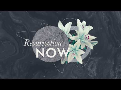 Sun 11am | Live Stream