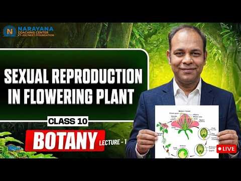How Do Plants Reproduce? Sexual Reproduction in Flowering Plants Class 10