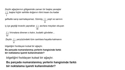 1T_13. Soru