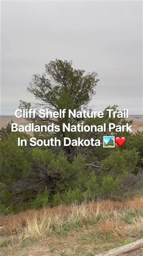 Hidden Beauty in the Badlands! 🏞️ | Cliff Shelf Nature Trail #shorts