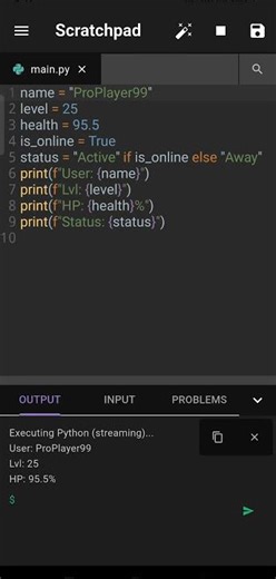 Python Profile Creator on Mobile 📱⚡