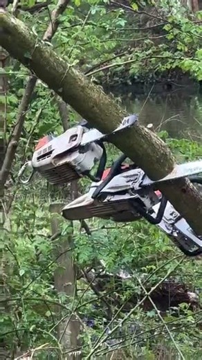 Daily Safety Fails🤯This is WHY You Hire The Professionals – DIY Tree Cutting Gone Wrong🤯#Safetyfails