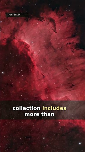 313 Nebulas, One 800-Hour Sky Project