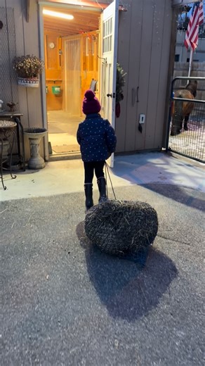 Watch till the end…… If you want to believe in magic, here it is……. Last Spring I saved this little one at only a few days old after a Fisher Cat attack wiped out her entire family. I raised her by hand and released her in the safety of our yard. Primrose decided to stay close and set up home under Pippins stable. We see her most days and this Christmas she has given us so special visits. We got to watch her skip and play in the snow and tonight she came close to enjoy her Christmas Present of c