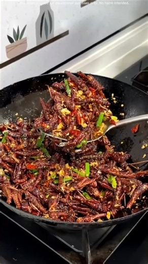 China Turns Grasshopper Farming Into a Business!! #shorts #plants #farming