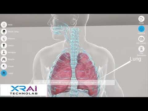 Respiratory System AR | Interactive Anatomy Learning Experience