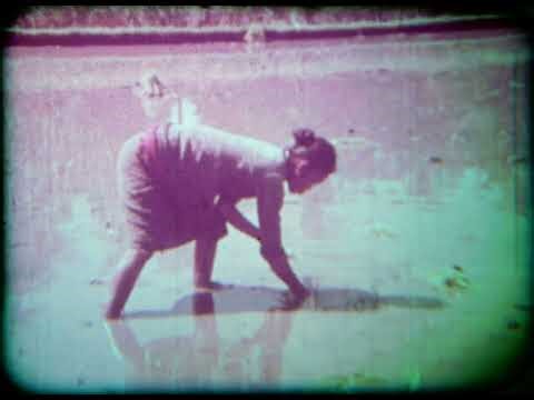 Indonesia - Java: Island of Diversity