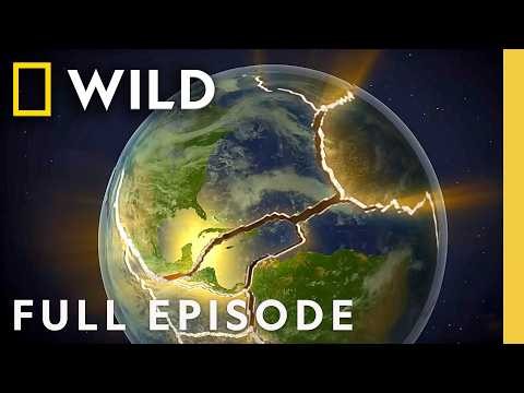 Our Living Planet (Full Episode) | X-Ray Earth Compilation | Nat Geo Animals