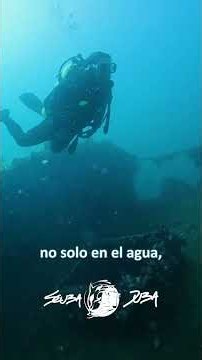 ¿Sabías que un gigante descansa a metros de la costa de Puerto Madryn?