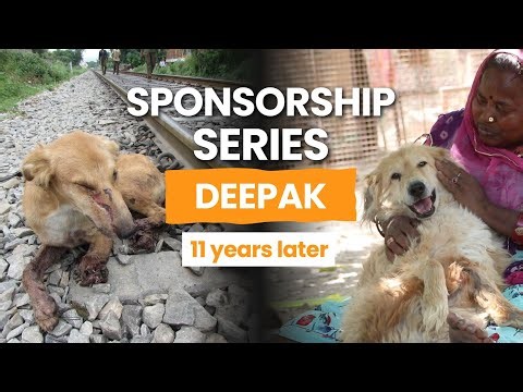 11 years ago, a train ran over his legs. Deepak continues to amaze us!