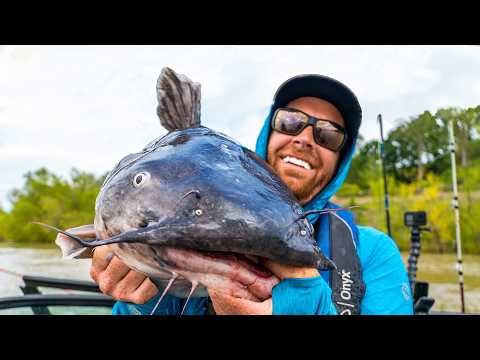 Catch & Cook: Monster CATFISH in Mississippi (Easy GUMBO Recipe!!!)