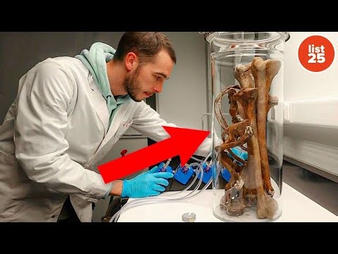 25 Outrageous Random Facts To Make You Sound Like a Genius