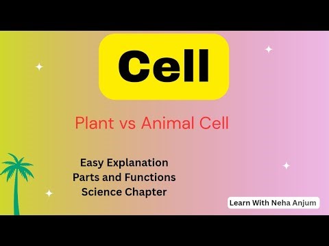 Cell | Basic Unit of Life | Plant Cell and Animal Cell Explained
