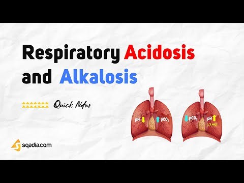 Respiratory Acidosis and Alkalosis | Physiology