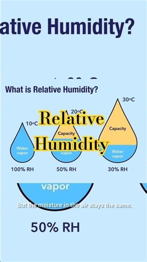 why fog and rain in the morning #fog #rain #morning #viral