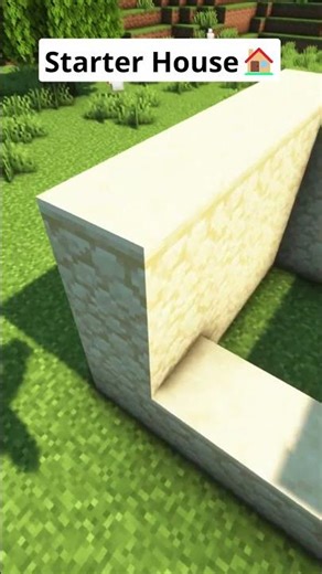 Minecraft Starter House🏠 #shorts