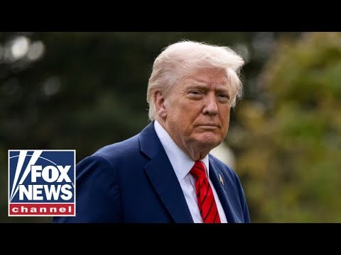 Trump admin reveals plan to CRACK DOWN on illegal truck drivers