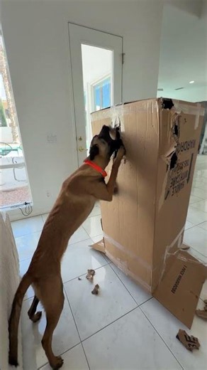 I did NOT expect her to do this...