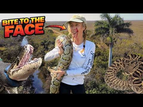 PythonMaxxing the Everglades