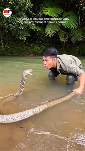 🐍 Never Grab a Snake by Its Tail! 😱