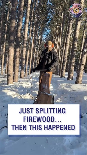 Trees can actually explode in extreme cold | 🎥 ViralHog | Now I've Seen Everything