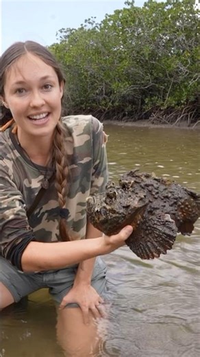 I Found The Worlds Most Venomous Fish 🤯 #shorts