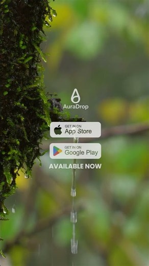 Water Dripping from Moss — Calming Nature Sounds for Deep Sleep