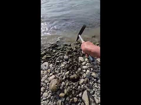 7 Amazing Metal Detector Finds Live | Satisfying Treasure Hunting Loop | Relaxing Discovery Stream