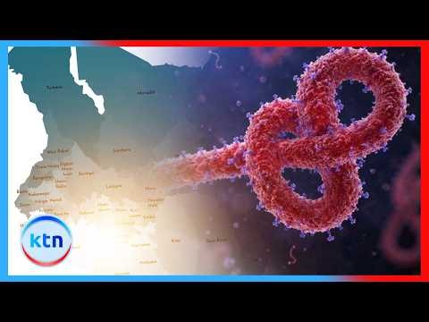 INTERNATIONAL ROUNDUP | Kenya Confirms Ebola Case, Ministry Says No Outbreak