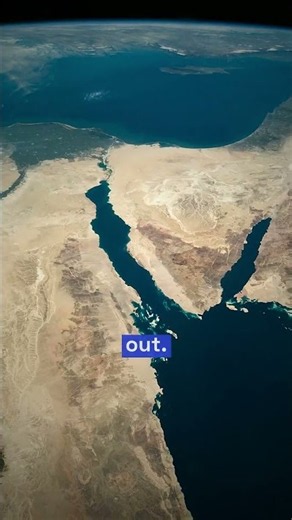 You Cannot Sink in the Dead Sea. Here's Why