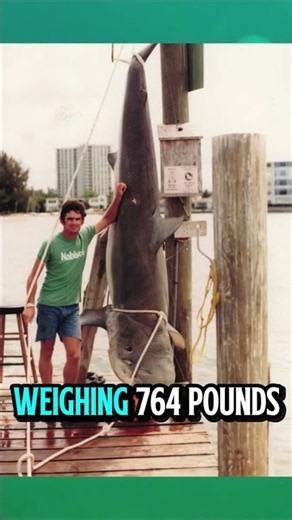 BIGGEST US WORLD RECORD FISH