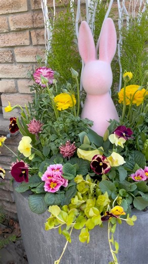 The most perfect pink and white palette 🌷🌿 Creating a cohesive spring planter can feel overwhelming with so many colors to choose from, but a simple color strategy makes all the difference. Start with one statement bloom — I chose pink and yellow ranunculus — then layer in supporting flowers like pansies that carry hints of both shades to keep everything flowing together. Since our bunny is also pink, placement matters: keeping it centered and adding yellow blooms beside it helps avoid too muc