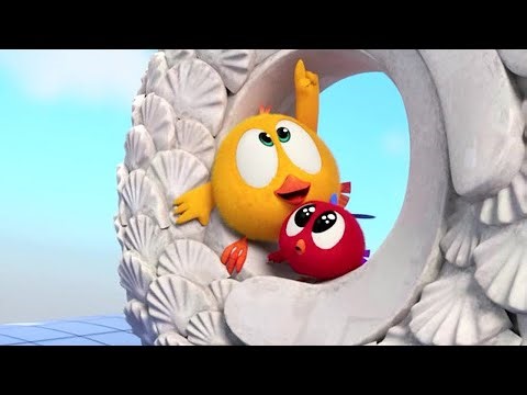 Chicky & Poyo are on vacation | Where's Chicky? | Cartoon Collection in English for Kids | HD