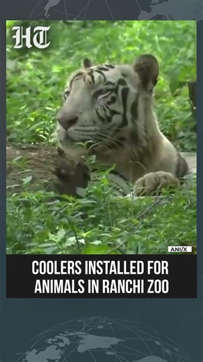 Ranchi Zoo Installs Coolers, Special Summer Facilities for Animals Amid Scorching Jharkhand Heatwave